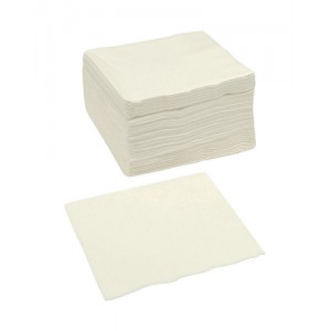 Paper Napkins Square 2 Ply 400x400mm White [Pack 250]