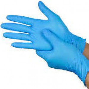 Vinyl Gloves Powder Free Large Blue Pk 100