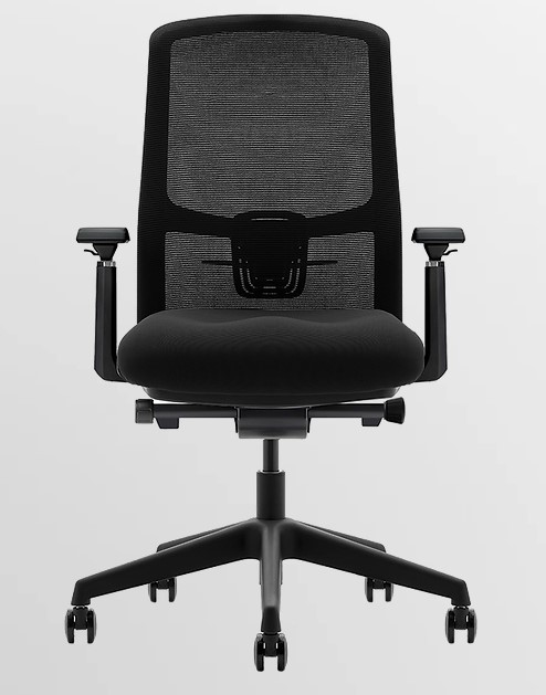 Deluxe+Task+Chair%2C+Synchro-Tilt++%26+Tension+Control%2C+Adjustable+Arms%2C+Black+Seat+%26+Frame